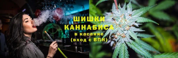 ГАЛЛЮЦИНОГЕННЫЕ ГРИБЫ Балахна
