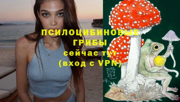 ГАЛЛЮЦИНОГЕННЫЕ ГРИБЫ Балахна