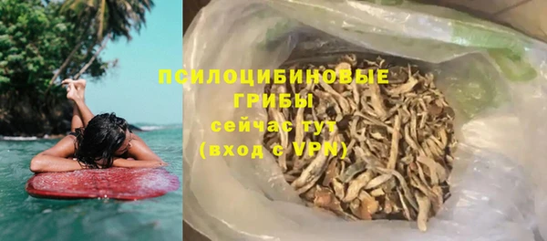 ГАЛЛЮЦИНОГЕННЫЕ ГРИБЫ Балахна