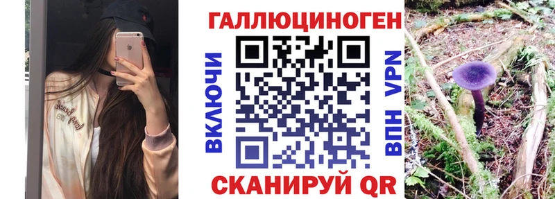 блэк спрут ONION  где продают   Красный Холм  Псилоцибиновые грибы Magic Shrooms 